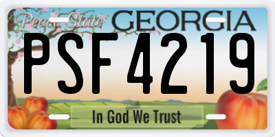 GA license plate PSF4219