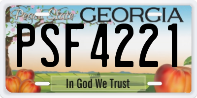 GA license plate PSF4221