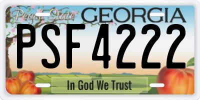 GA license plate PSF4222