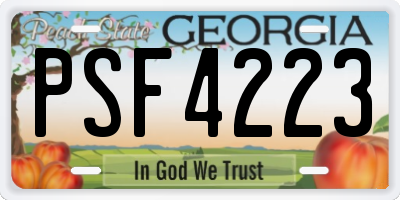 GA license plate PSF4223