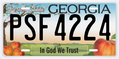 GA license plate PSF4224