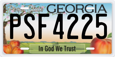 GA license plate PSF4225
