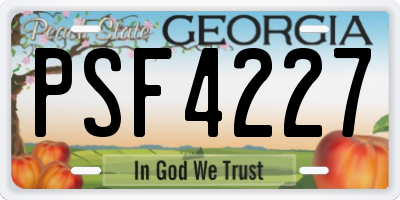 GA license plate PSF4227