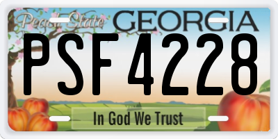 GA license plate PSF4228