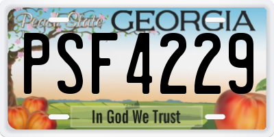 GA license plate PSF4229