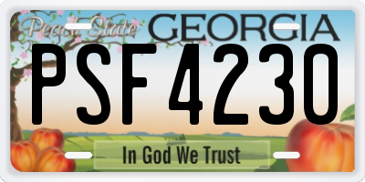 GA license plate PSF4230