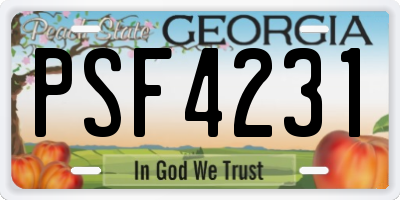 GA license plate PSF4231