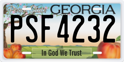 GA license plate PSF4232