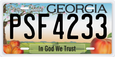 GA license plate PSF4233
