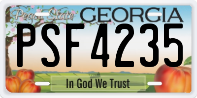 GA license plate PSF4235