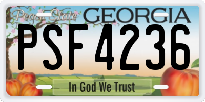 GA license plate PSF4236