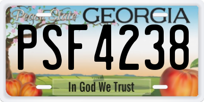 GA license plate PSF4238