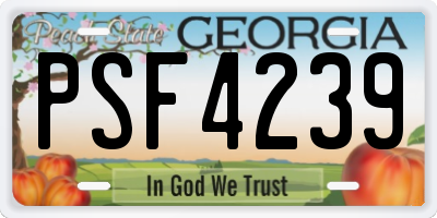 GA license plate PSF4239