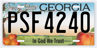 GA license plate PSF4240