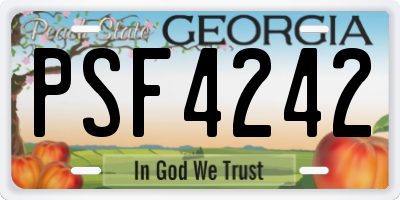 GA license plate PSF4242