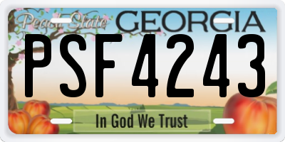 GA license plate PSF4243