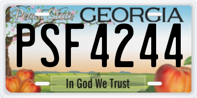 GA license plate PSF4244