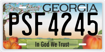 GA license plate PSF4245