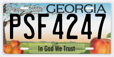 GA license plate PSF4247