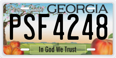 GA license plate PSF4248