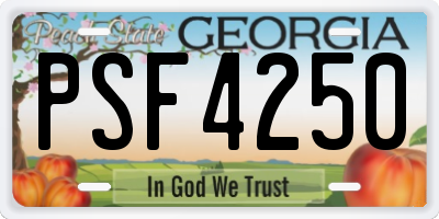 GA license plate PSF4250