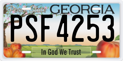 GA license plate PSF4253