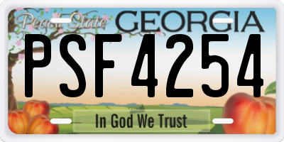 GA license plate PSF4254