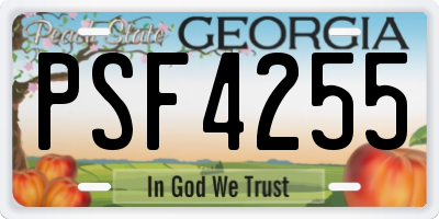 GA license plate PSF4255