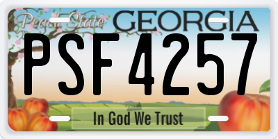 GA license plate PSF4257