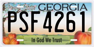 GA license plate PSF4261