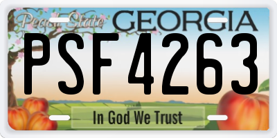 GA license plate PSF4263