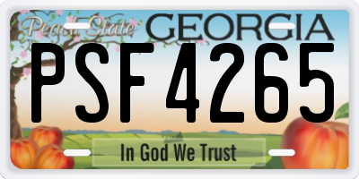 GA license plate PSF4265