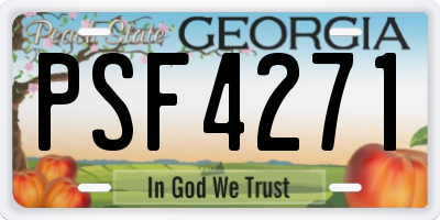 GA license plate PSF4271