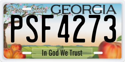 GA license plate PSF4273