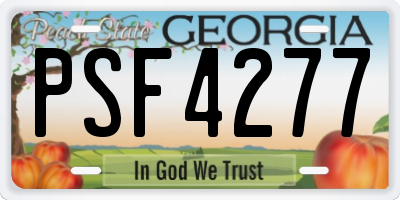 GA license plate PSF4277
