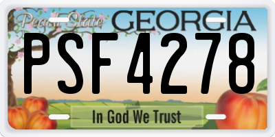 GA license plate PSF4278