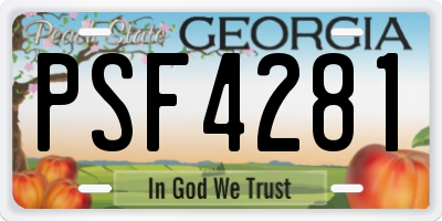 GA license plate PSF4281