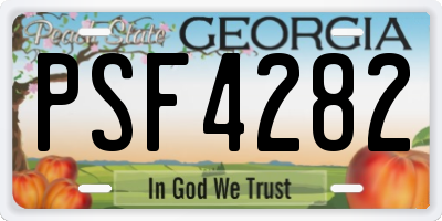 GA license plate PSF4282