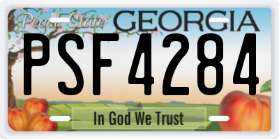 GA license plate PSF4284