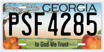 GA license plate PSF4285