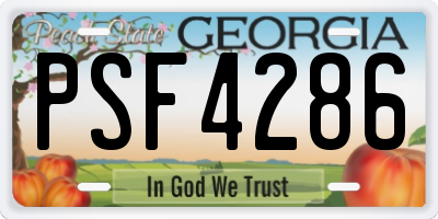 GA license plate PSF4286