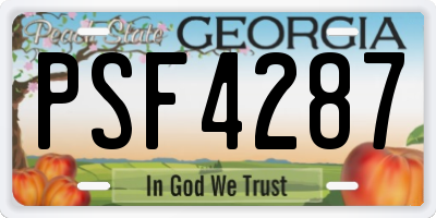 GA license plate PSF4287