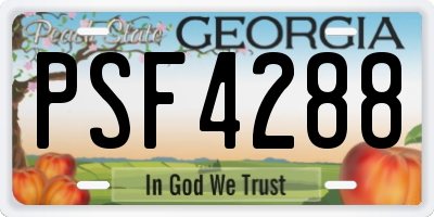 GA license plate PSF4288