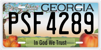 GA license plate PSF4289