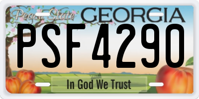 GA license plate PSF4290