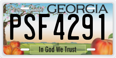GA license plate PSF4291
