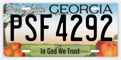 GA license plate PSF4292