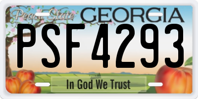 GA license plate PSF4293