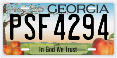 GA license plate PSF4294
