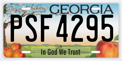 GA license plate PSF4295